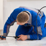 Exactly how To Select The Best Pest Control Business