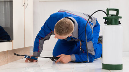Exactly how To Select The Best Pest Control Business